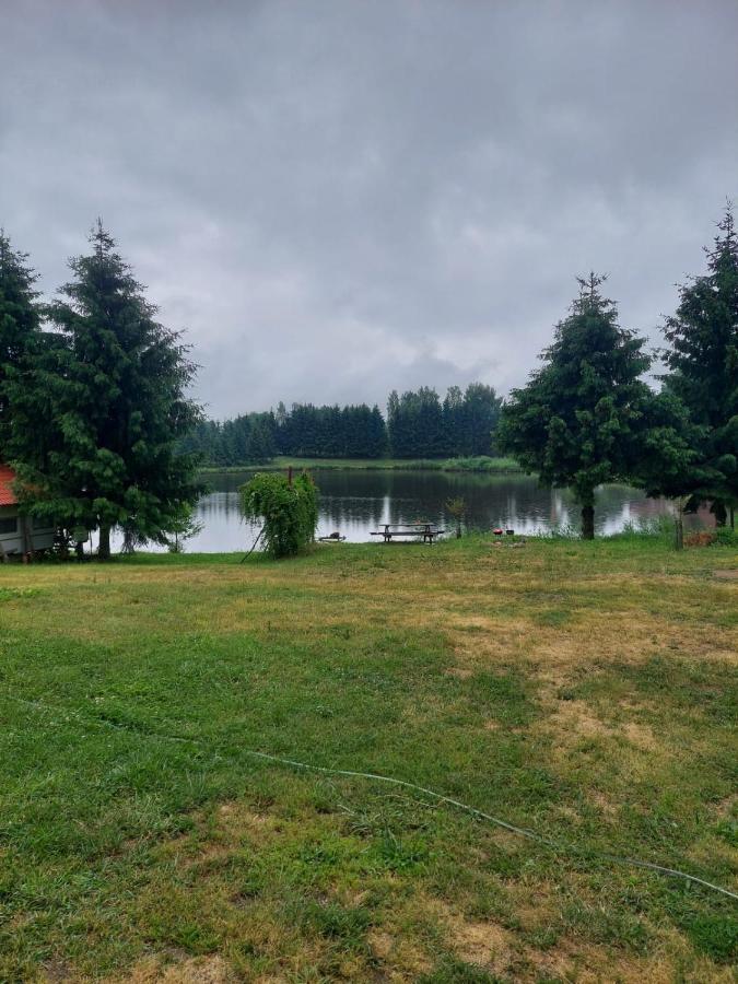 Mieszkanie nad jeziorem Rydzówka+prywatny staw+plaża+Mazury Srokowo Exterior foto